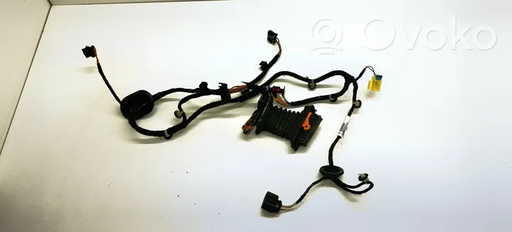 Volkswagen PASSAT B7 Front door wiring loom 3AB971120AG