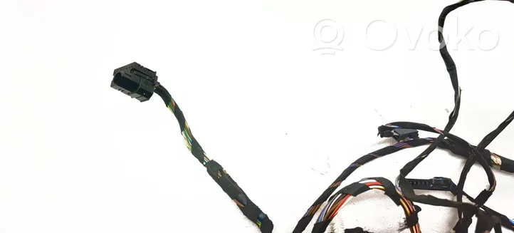 BMW X3 F25 Front door wiring loom 9315114