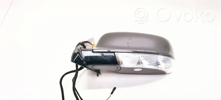 Volkswagen Phaeton Front door electric wing mirror F251F101U6680