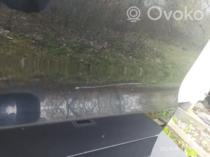 Audi Q3 8U Priekinės durys 