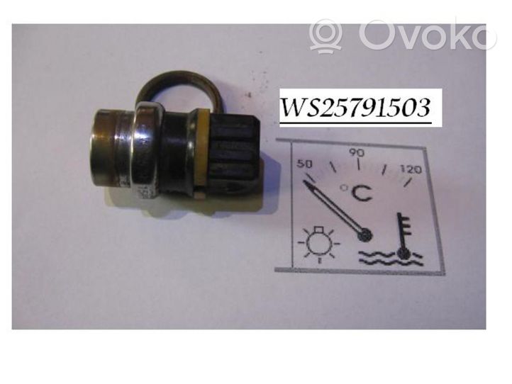 Audi A4 S4 B5 8D Coolant temperature sensor WS25791503