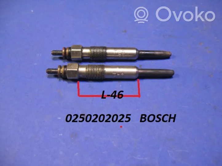 Renault Laguna I Glow plug 0250202025