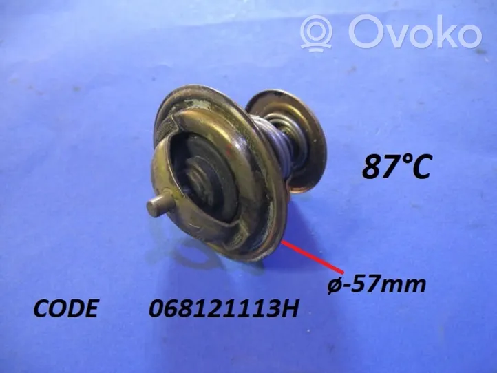 Ford Transit Thermostat 068121113H