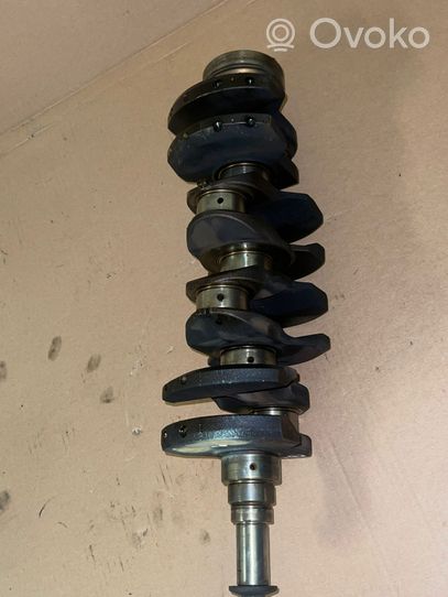 Ford Focus Crankshaft 