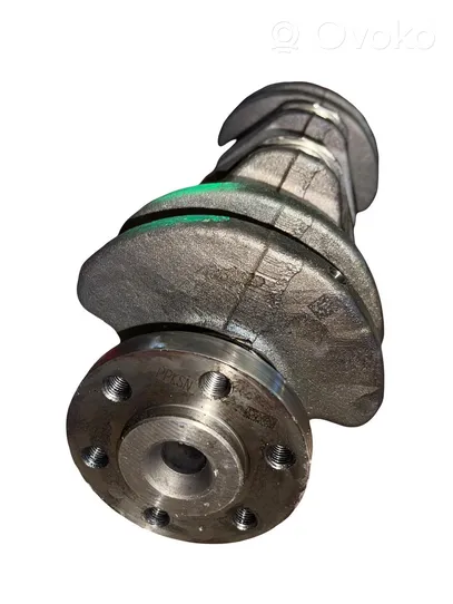 Ford Focus Crankshaft 