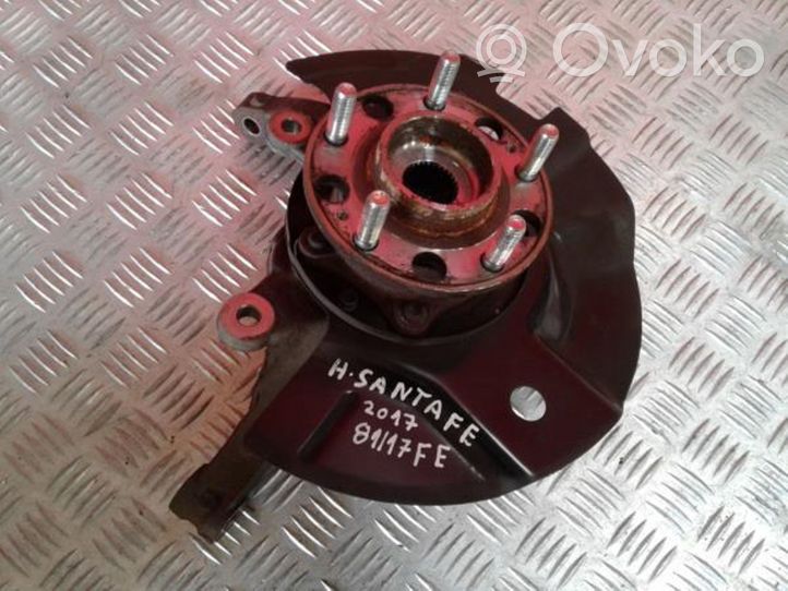 Hyundai Santa Fe Front wheel hub 