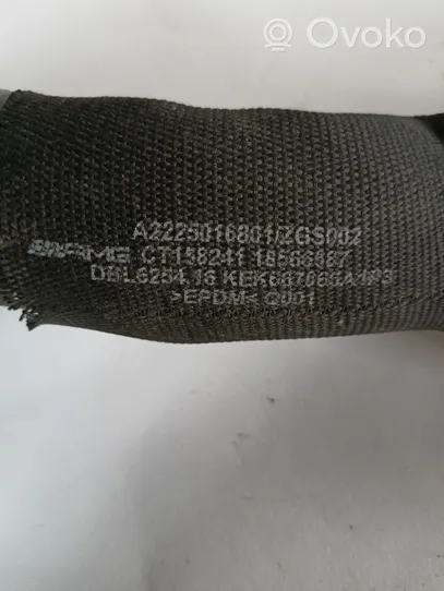 Mercedes-Benz S C217 Tubo flessibile del liquido di raffreddamento del motore A2225016801