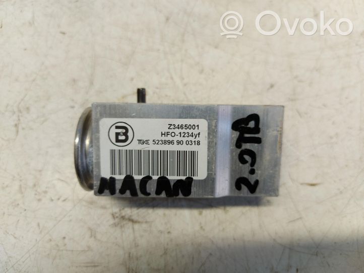 Porsche Macan Air conditioning (A/C) expansion valve Z3465001