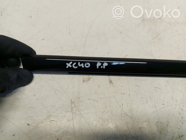 Volvo XC40 Rivestimento della portiera anteriore (modanatura) 