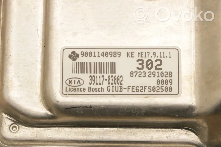 KIA Rio Sterownik / Moduł ECU 39117-03002