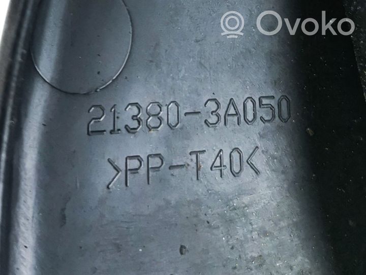 Hyundai ix 55 Couvercle cache moteur 213803A050