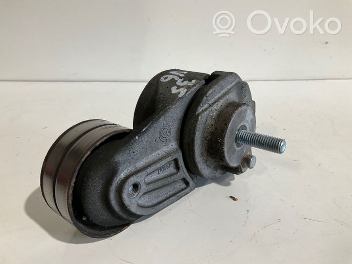 Mercedes-Benz E W211 Tendicinghia generatore/alternatore A6422000070