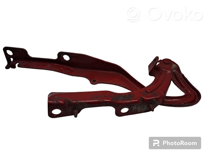 Peugeot 207 Cerniere del vano motore/cofano 9650866980