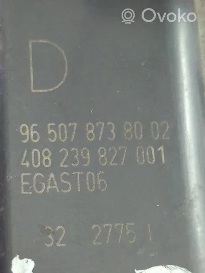 Peugeot 406 Clapet d'étranglement 408239827001