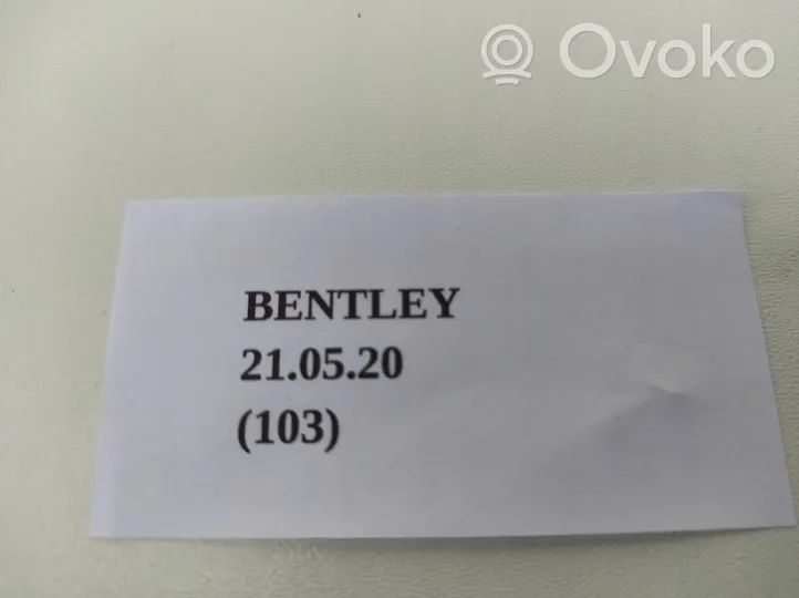 Bentley Continental Pysäköintitutkan anturin kaiutin PDC 8E0919279