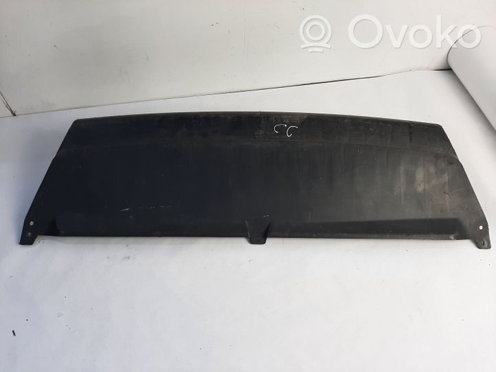 Volkswagen PASSAT CC Radiator trim 3C8807651B