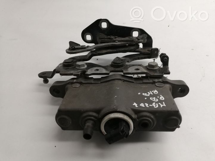 Mercedes-Benz E A207 Cerniere del vano motore/cofano A2129066301