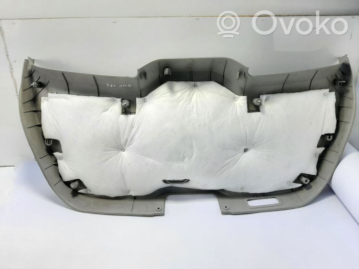 Opel Antara Tailgate trim 96820213