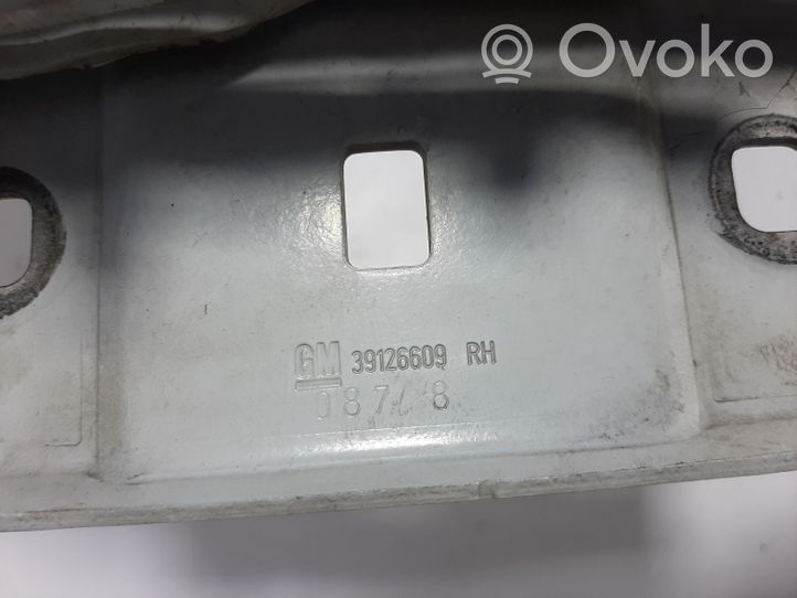 Opel Insignia B Cerniere del vano motore/cofano 39126609