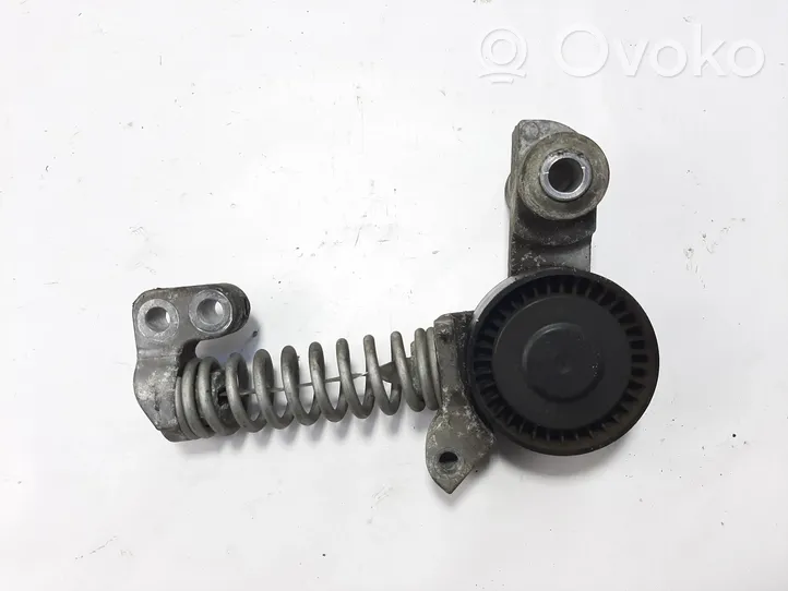 Volvo V40 Tendicinghia generatore/alternatore 31339945