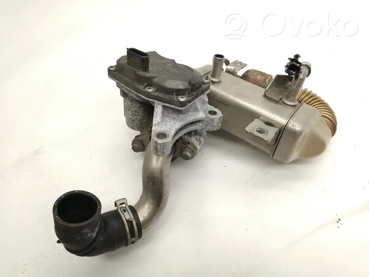 Nissan Qashqai EGR aušintuvas H8201068965