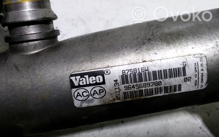 Volvo S40 Valvola di raffreddamento EGR 875816W