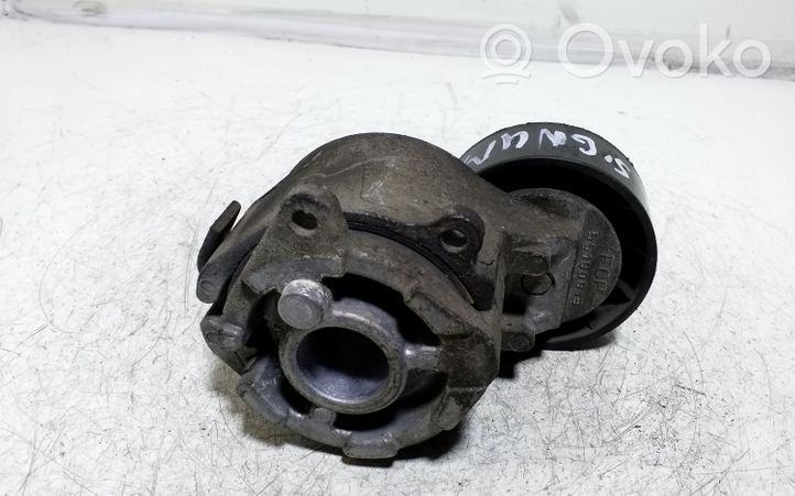 Opel Signum Napinacz paska wielorowkowego / Alternatora 55190813