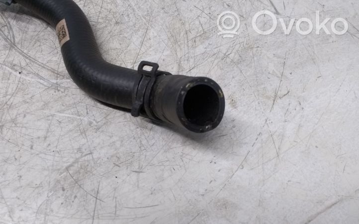 Audi A4 S4 B9 Przewód / Wąż chłodnicy 8W0819332H