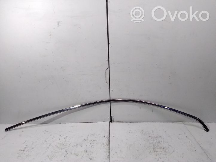 Opel Antara Dekoratīva jumta lenta – "moldings" 96660244