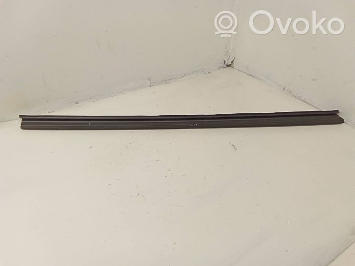 Opel Grandland X Front door glass trim molding 9811573180