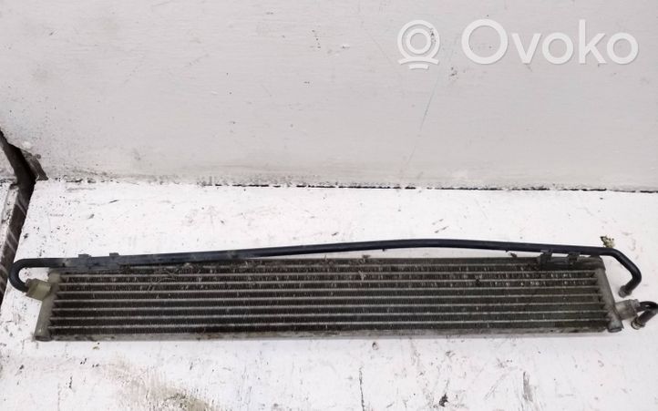 Volkswagen Touareg II Power steering radiator 