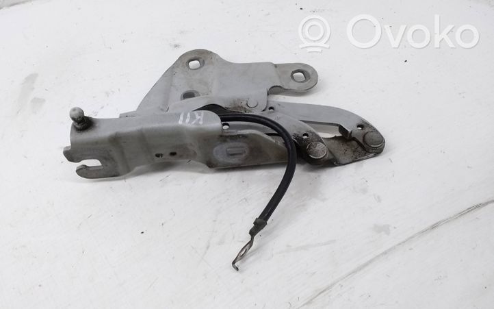 BMW X1 E84 Engine bonnet/hood hinges 2990359