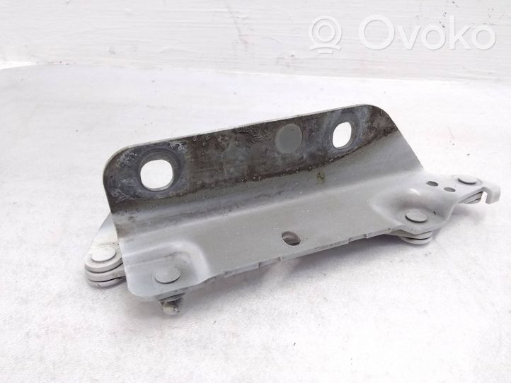 Land Rover Range Rover Evoque L538 Cerniere del vano motore/cofano 6H5216800AC