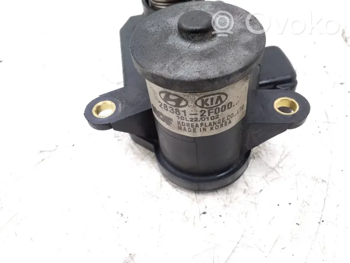 Hyundai Santa Fe Attuatore/motore della valvola del collettore di aspirazione 283812F000