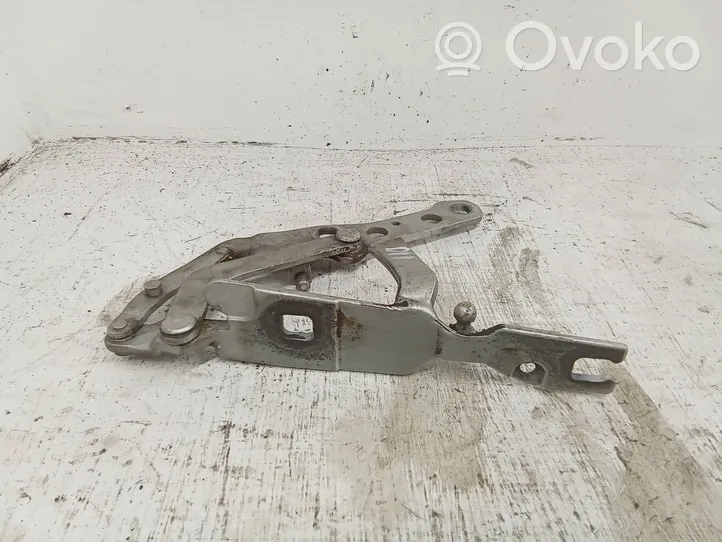 BMW X3 E83 Cerniere del vano motore/cofano 3411448