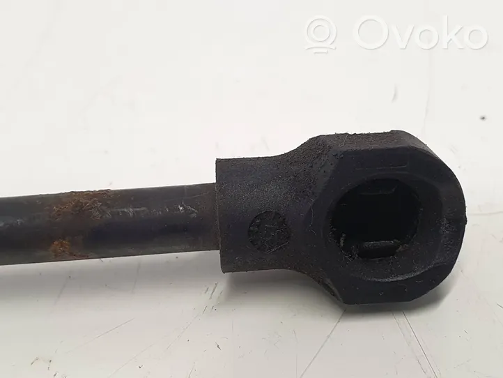 Renault Kangoo II Ammortizzatore portellone anteriore/cofano 654706489R