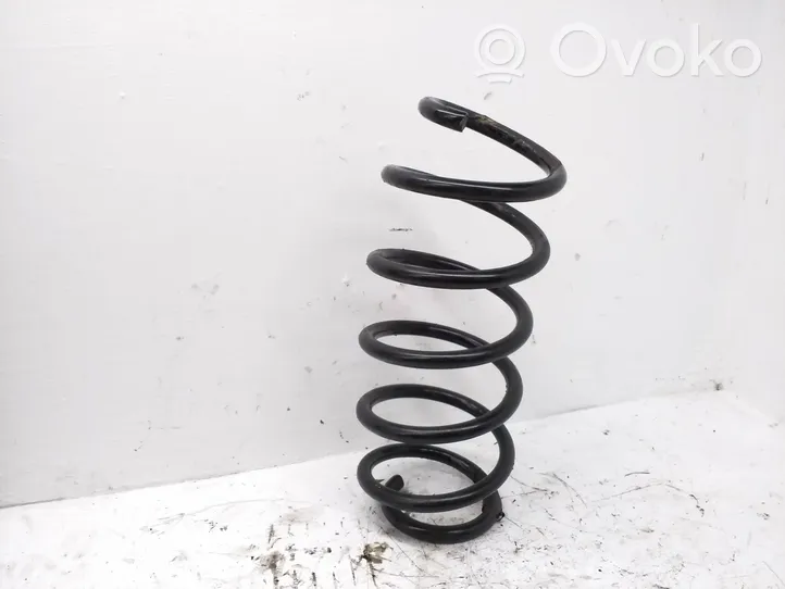 Volkswagen Tiguan Rear coil spring 