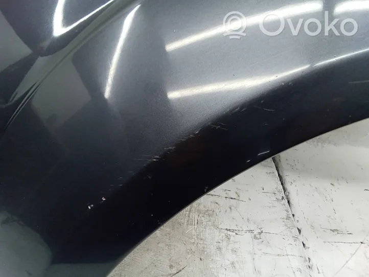 Ford S-MAX Fender 