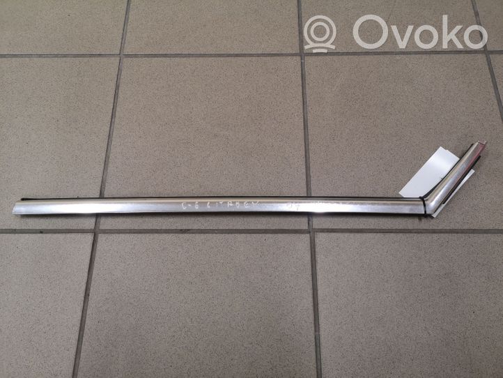 Citroen C6 Rear door glass trim molding 9646289480