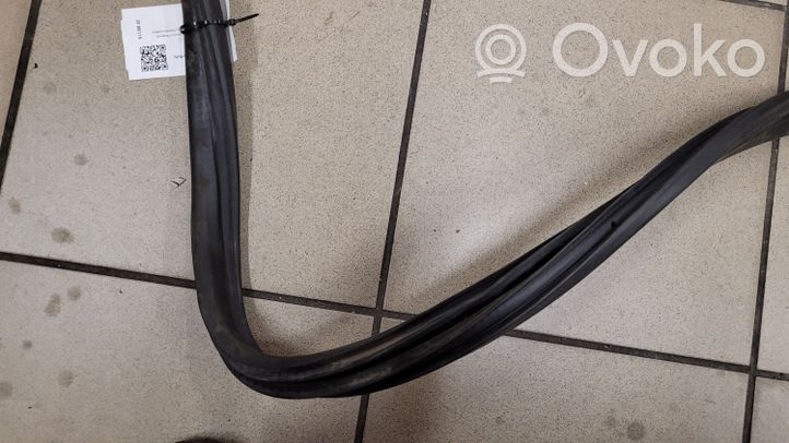 Opel Zafira A Front door rubber seal 