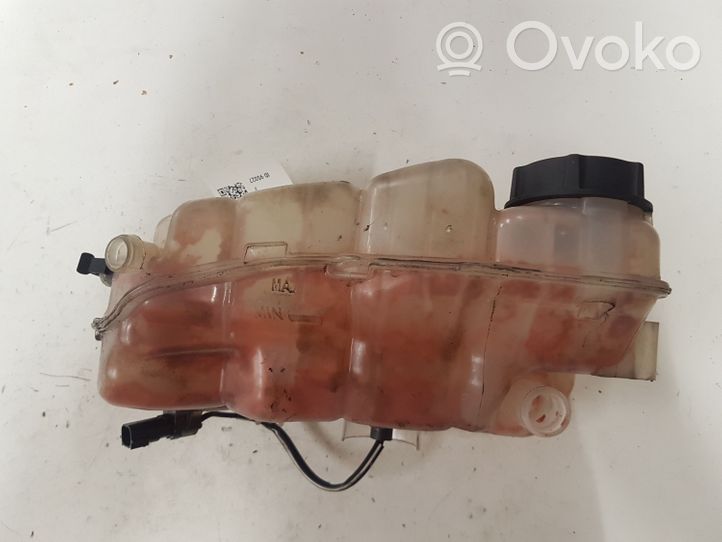 Volvo V40 Serbatoio di compensazione del liquido refrigerante/vaschetta 31338764