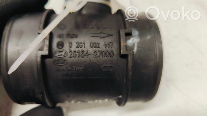 Hyundai Santa Fe Mass air flow meter 0281022447