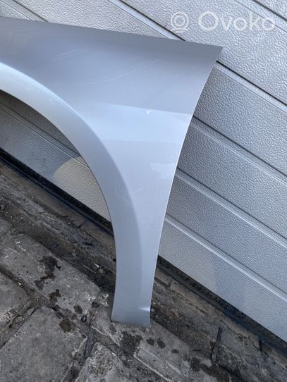 Volkswagen PASSAT CC Kotflügel 