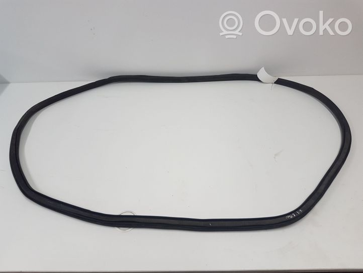 Opel Astra J Front door rubber seal 13259929