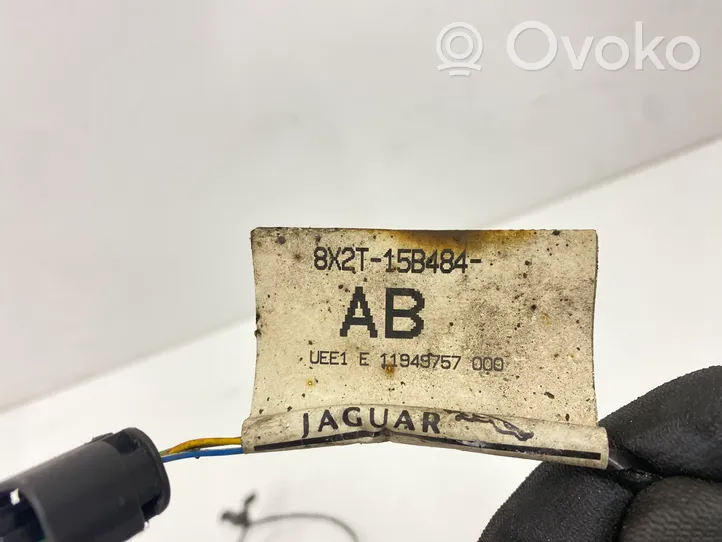 Jaguar XF X250 Parkošanas (PDC) sensoru vadu instalācija 8X2T15B484AB