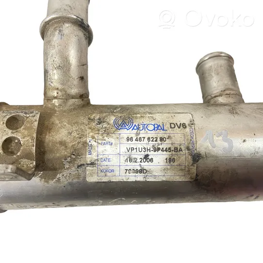 Citroen C4 I Picasso EGR aušintuvas 9646762280