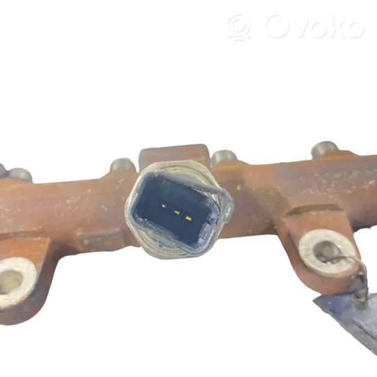 Renault Megane II Kraftstoffverteiler Einspritzleiste Verteilerrohr H8200296867