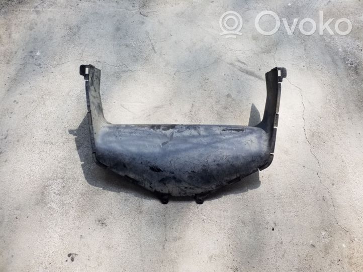 BMW 3 E46 Radiator trim 