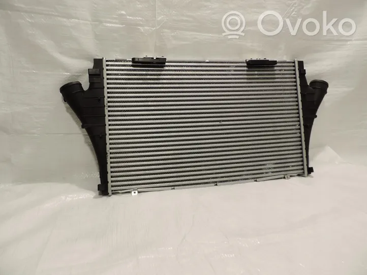 Opel Signum Chłodnica powietrza doładowującego / Intercooler 12800599