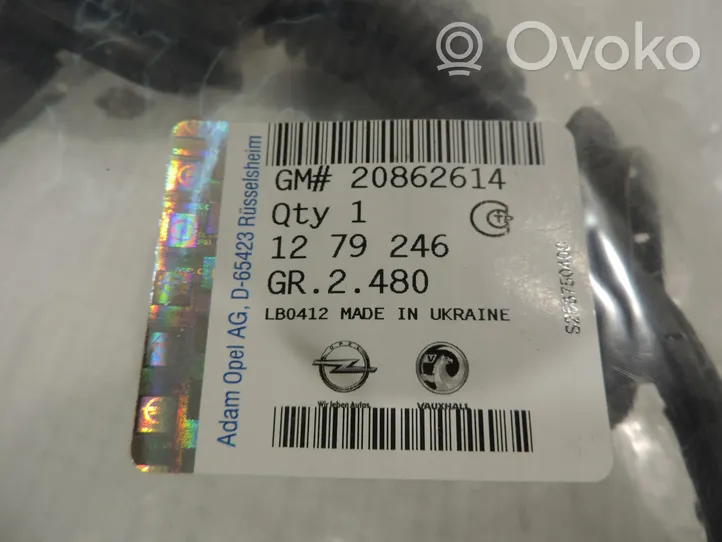 Opel Omega B2 Faisceau de câbles hayon de coffre 20862614